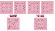 6 Hav-A-Hank PINK Paisley BANDANA Cotton Head Face Wrap Mask Neck Scarf Cover