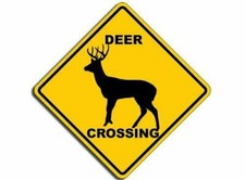 5" Deer Crossing Sign Shaped St bumper sticker decal made in usa