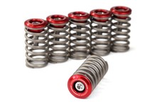 Ducati Trockenkupplung Federteller Rot + 40mm Edelstahl Kupplungsfedern Set