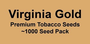 rate of tobacco use in us Historic Decline in Smoking Rates Driven by Young Adults