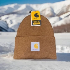 Carhartt Knit cuffed beanie and a free pair of gloves  