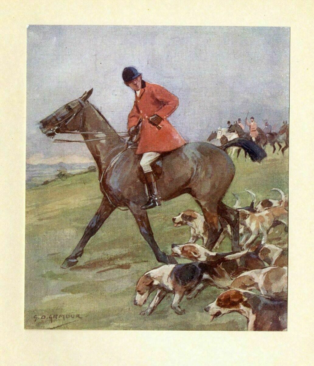 Fox Hunting With Horses And Hounds