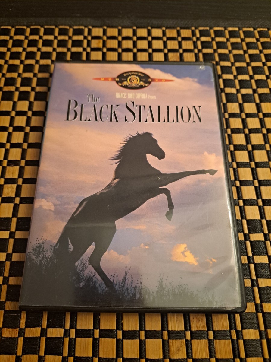 (未使用･未開封品)Adventures of Black Stallion: First Season [DVD] Amazon.co.jp: Adventures of Black Stallion: First Season [DVD] : DVD