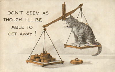 PC CATS, DON'T SEEM AS THOUGH I'LL BE ABLE TO GET, Vintage Postcard (b46992)