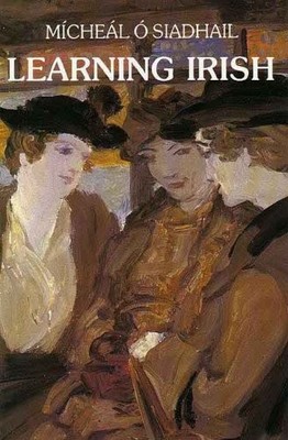 LEARNING IRISH: AN INTRODUCTORY SELF-TUTOR By Michael O'siadhail
