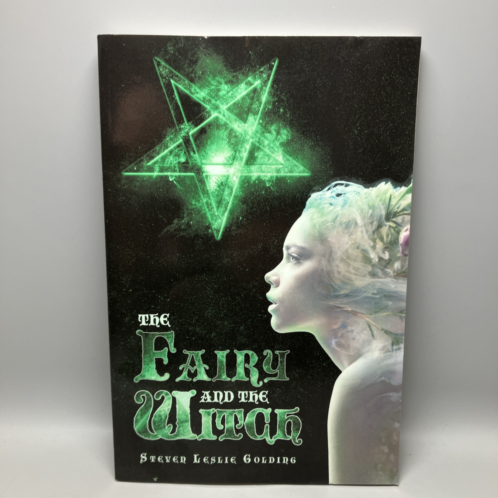 The Fairy and the Witch By Steven Golding Paperback softback Book