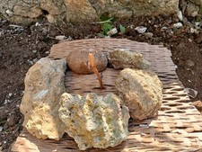Pacciamatura in Cartone Biodegradabile 10m x 35cm | Rete Orto Aiuole Giardino