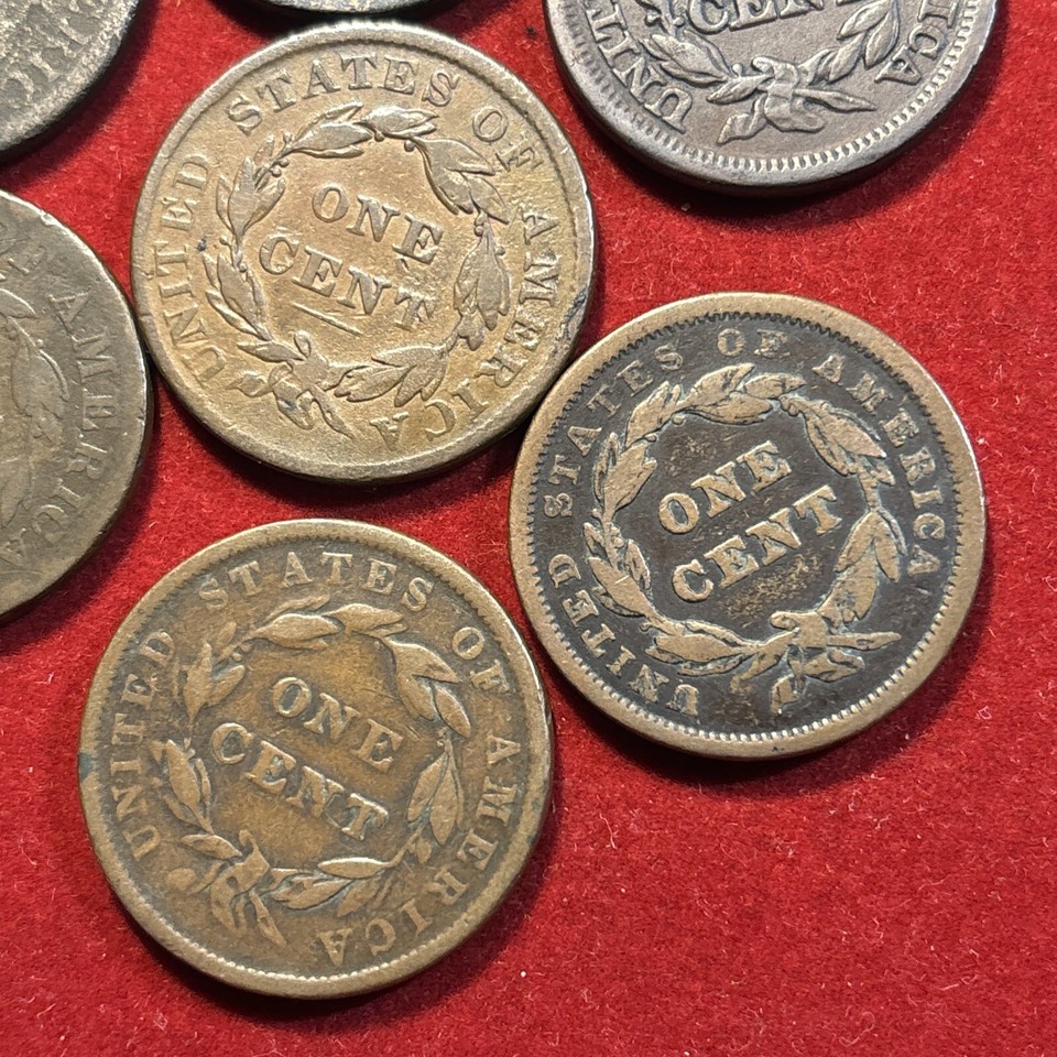 Large Cent Lot (10 Coins)draped Bust Classic Braided Hair Free