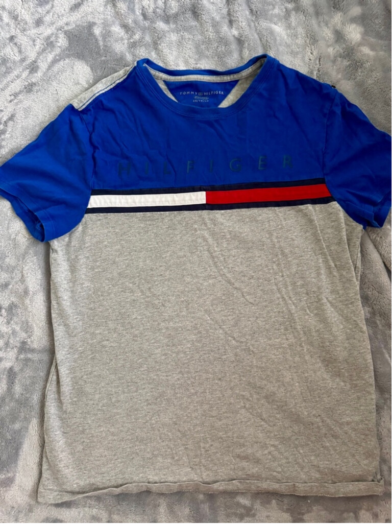 Tommy Hilfiger Mens XS Graphic Tee in Red Grey Blue