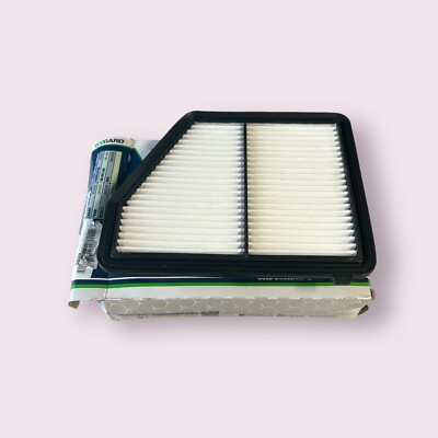 Ecogard XA10496 Engine Air Filter   High-Performance Replacement   New Sealed