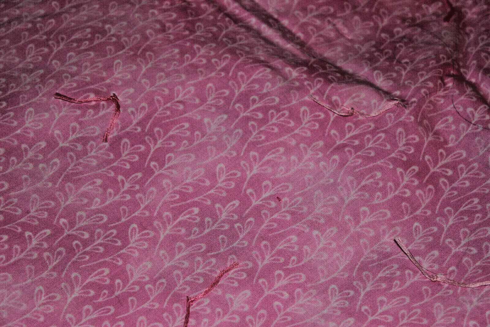 Picture 5 of 5
