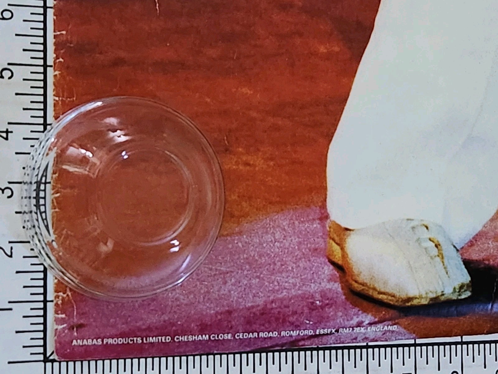 Poster 1981 Ozzy Osborne oz LIVE original vintage rare