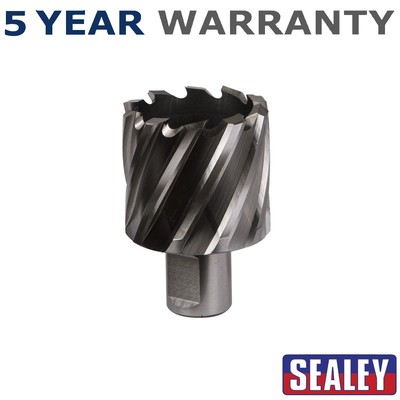 Sealey Worksafe �� 42 mm HSS Mag Bohrer Schnitttiefe 25 mm RBHSS42S