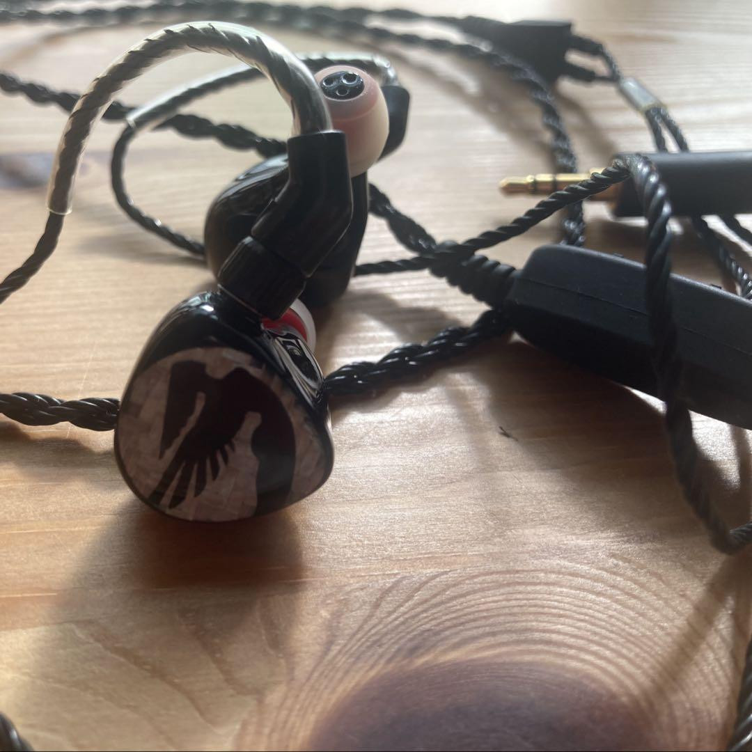 Roxanne UNIVERSAL IEM Silver Carbon Audio | eBay Roxanne UNIVERSAL IEM Silver Carbon Audio | eBay