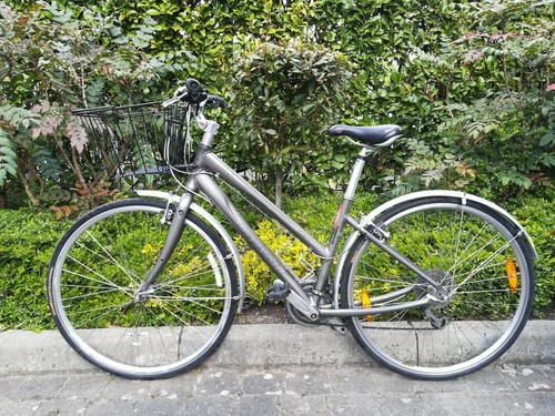Women GIANT Crs 4.0 Hybrid Bike - 17 