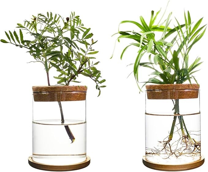 Elegant Glass Flower Vase Set - 2 Piece Desktop Decor