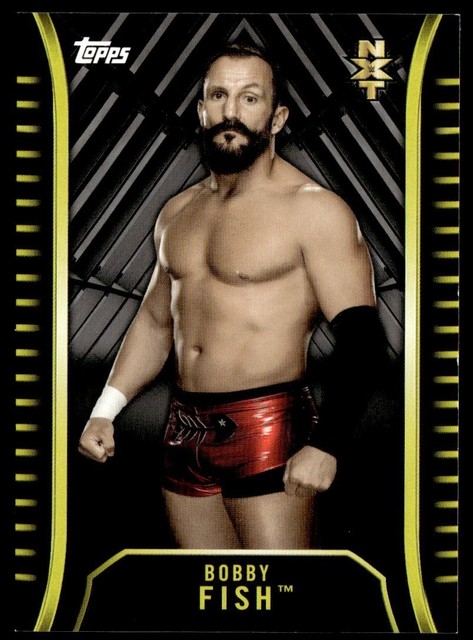2018 Topps WWE NXT Silver Bobby Fish 12/25 #R-7