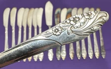 EVENING STAR Silverplated 16 FLAT BUTTER SPREADERS  & 1 MASTER KNIFE Community