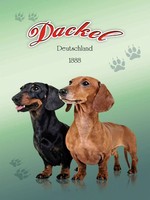 Holzschild 40X30 Cm Hund Dackel Deutschland 1888 Deko Geschenk Holz Schild