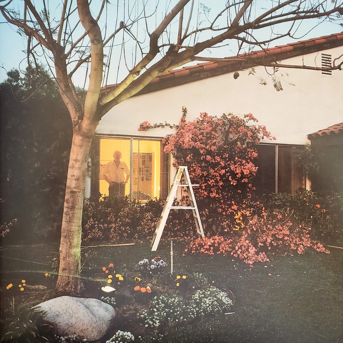 Larry Sultan Pictures From Home Original 1992 HC DJ Photographs