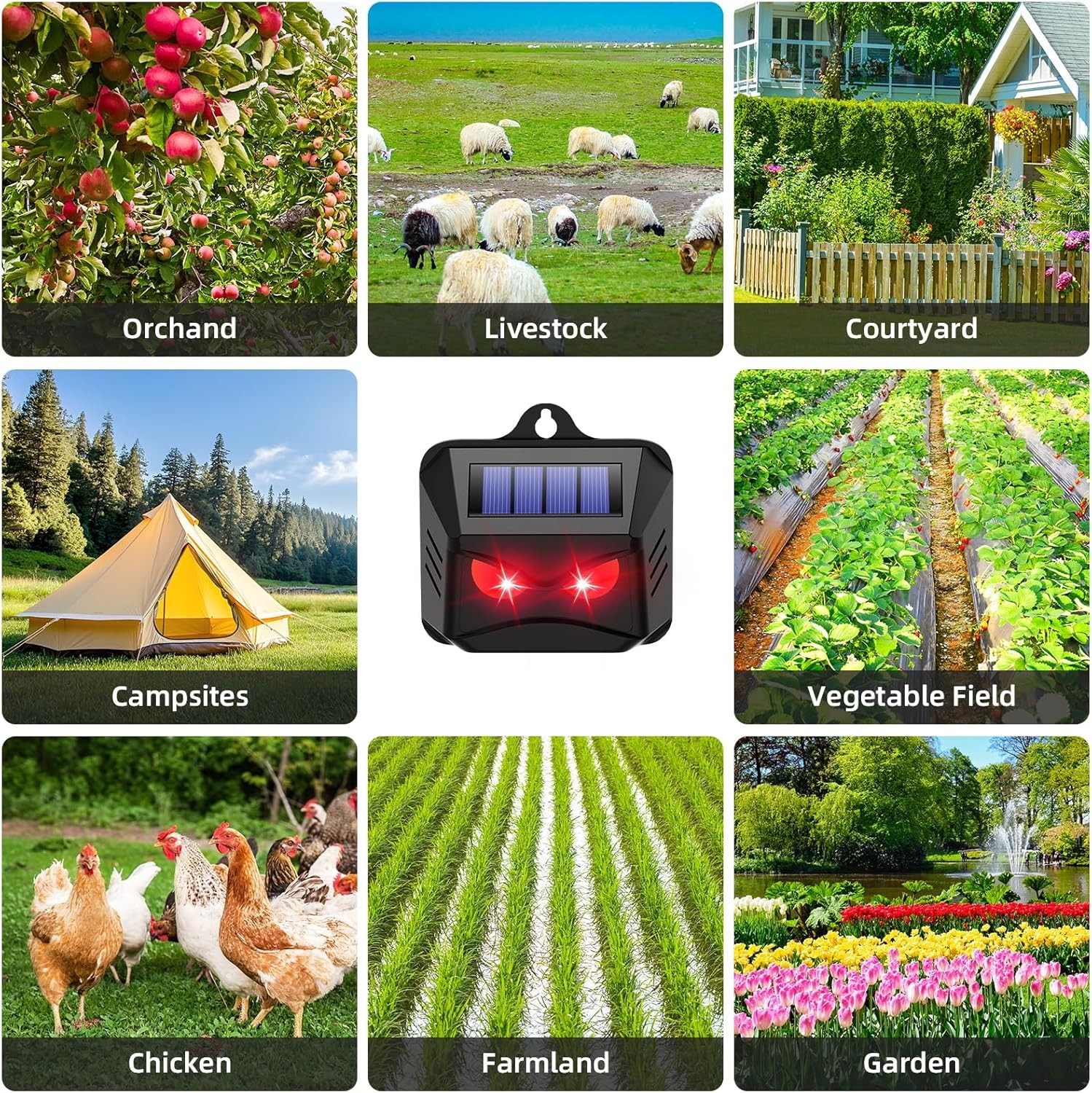 Solar Animal Deterrent Lights (4): Repel Deer, Raccoons – For Chicken Coops