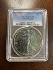 1987 Toned American Silver Eagle Dollar $1 ASE - PCGS MS65 - MONSTER Toning Coin