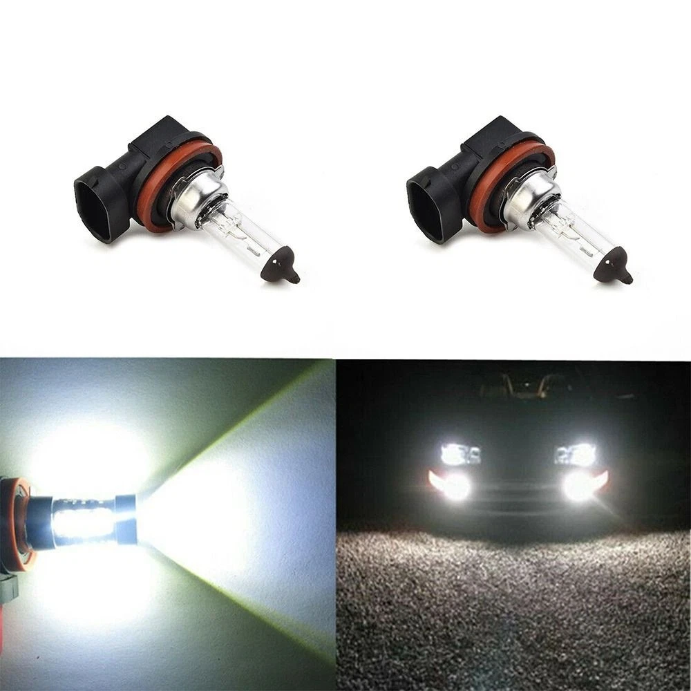 Halogen fog light bulbs online