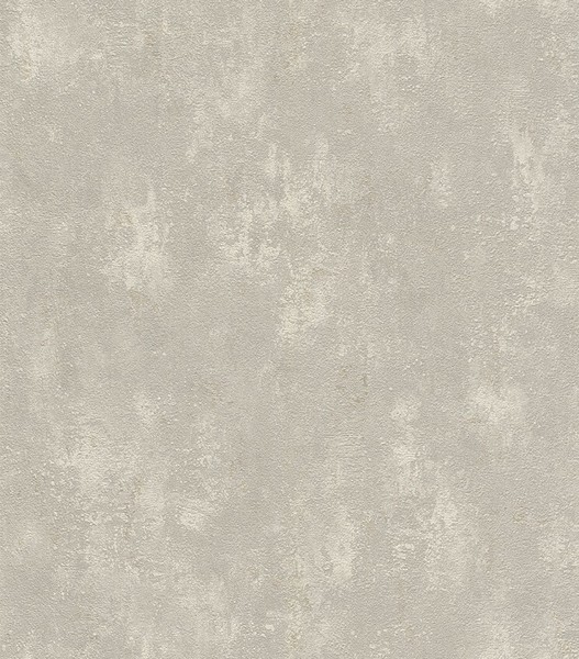 Vliestapete Putz Struktur Vintage Grau Rasch Tapete Lucera 609059 (3,56€/1Qm)-image