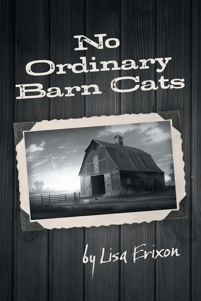 Lisa Erixon | No Ordinary Barn Cats | Taschenbuch | Englisch (2024)-image