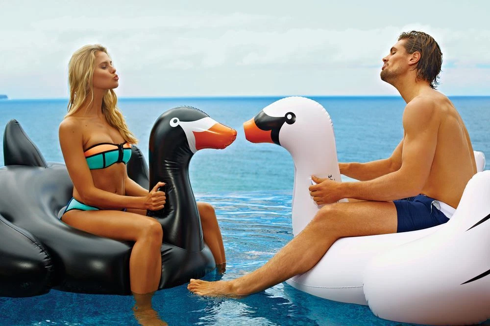 Big swan sales pool float
