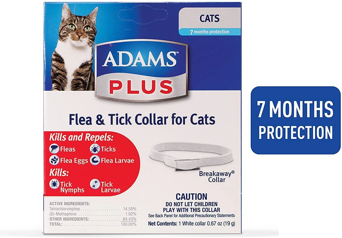 Ebay cat flea collars sales