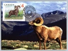 Canada 2018 Canadian Wildlife $4 Bighorn Sheep FDC Maxi Card