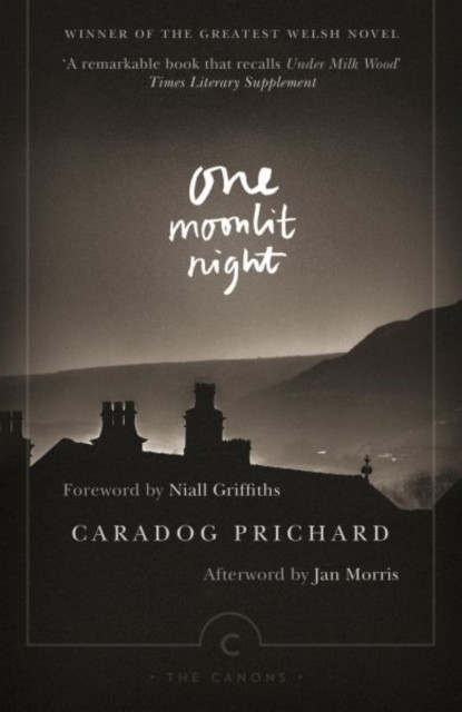 One Moonlit Night by Caradog Prichard PAPERBACK - Image 6