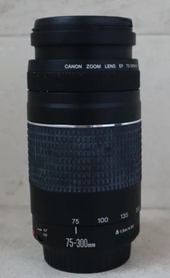 Objectif Télé Canon EF 75-300Mm F/4.0-5.6 III Téléobjectif Télé Canon Eos - Photo 1/4