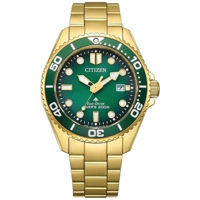 PROMASTER CITIZEN Water Resistant Mens Watch Japan