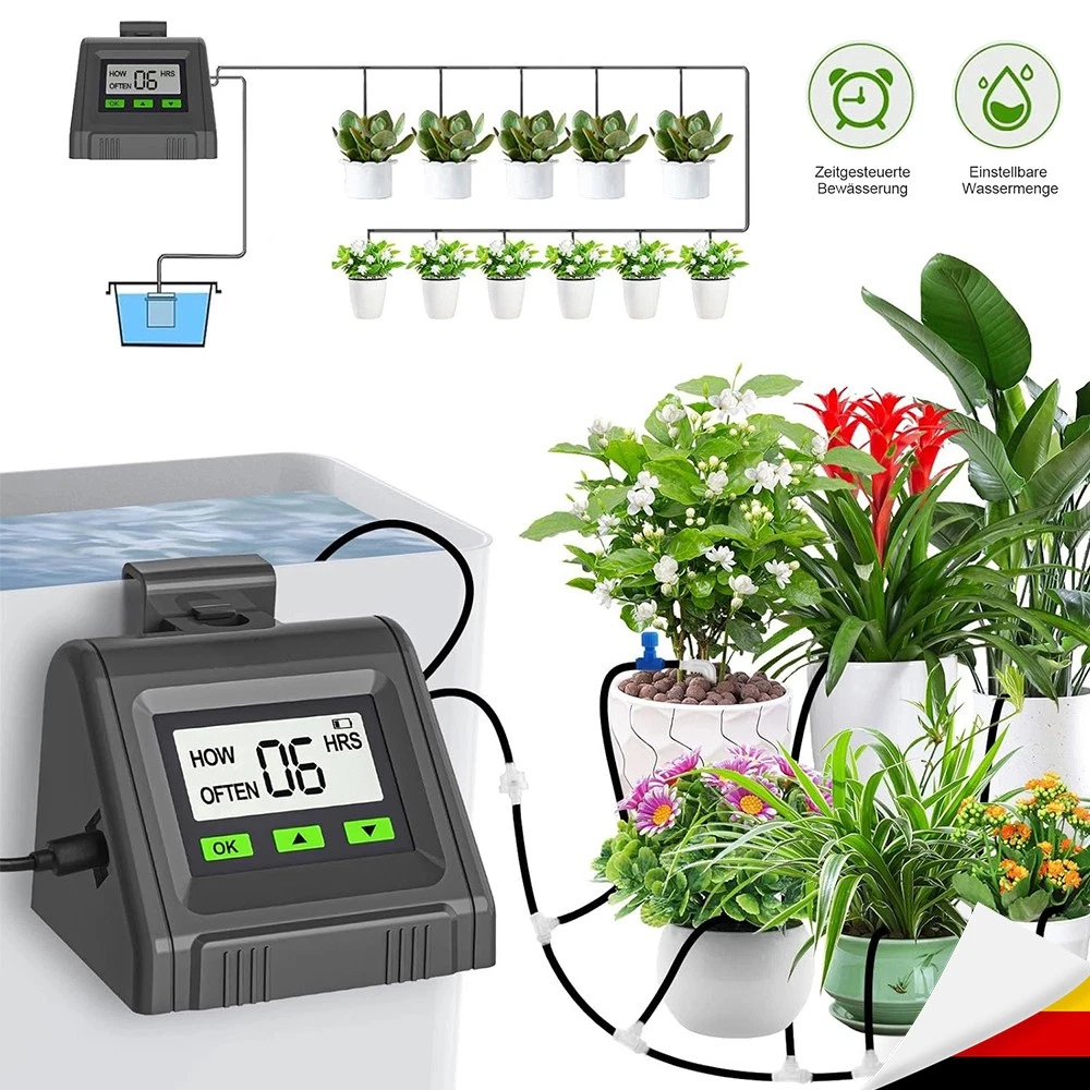 ficus ginseng zimmerpflanze Ficus microcarpa Ginseng – 30 cm – Ø 14 cm – Zimmerpflanze