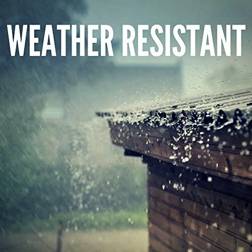 2961-BK Outdoor Wall Lantern, Black Cast Iron - Picture 4 of 4