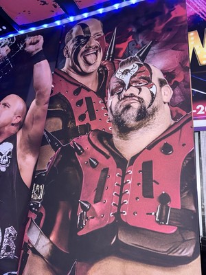 WWE LEGION OF DOOM ROAD WARRIORS 2 X6  VINYL BANNER