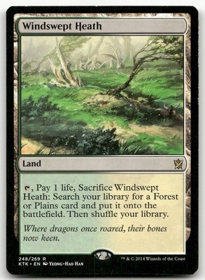 Windswept Heath #248 (LP) Khans of Tarkir KTK Magic MTG
