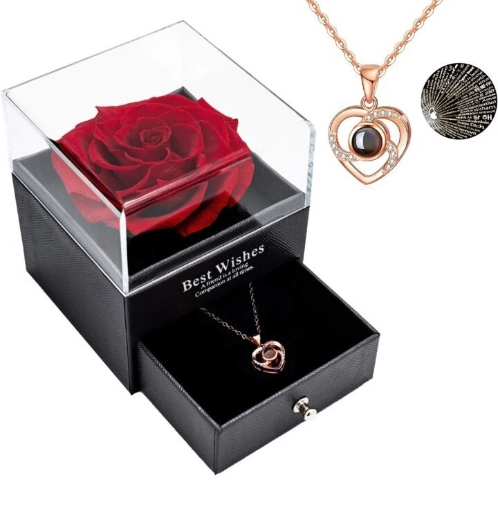 San Valentino Rosa Stabilizzata Vera Idee Regalo Con Collana per Fidanzata Lei