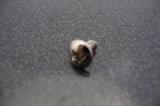 Genuine Yamaha Tuba / Sousaphone Brace Screw (M3.0 P0.5 L6 YSH411/BB641) NEW! G4