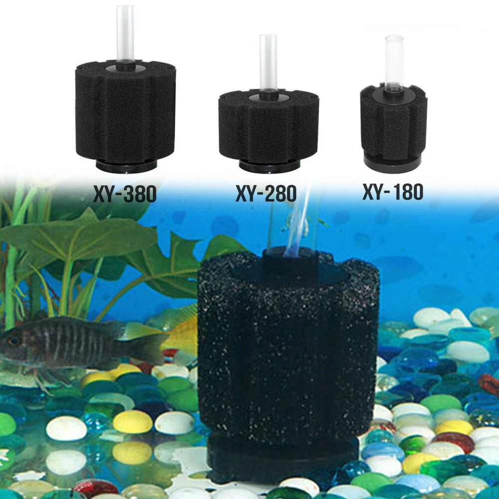 Fish tank air clearance filter