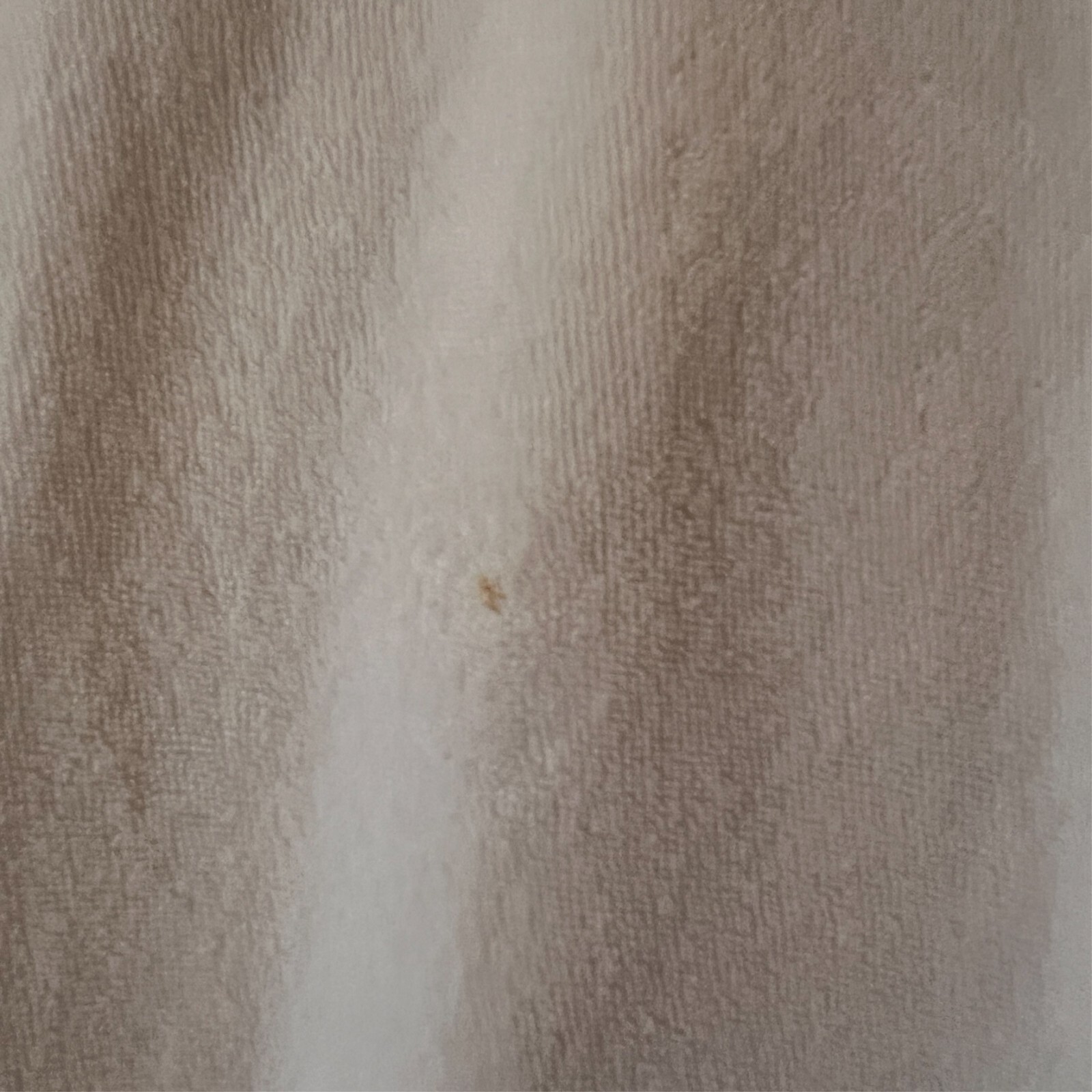 Picture 7 of 15