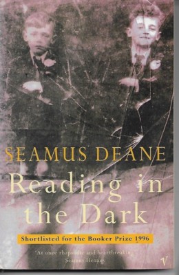 Reading In The Dark by Seamus Deane (Paperback, 1997)