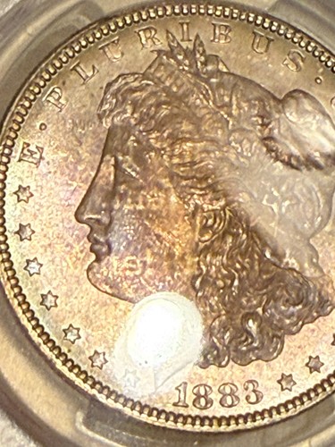 1883 Morgan Dollar PCGS MS64 with toned LETTERS on obv RARE text toning WOW OOAK