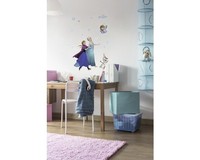Wandtattoo Disney Anna & Elsa 50X70 Cm