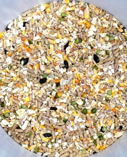 Chicken Duck Wild Bird Seed Feed Food Rabbit Hamster Pigeon Mice Rat Premium - Afbeelding 1 van 2