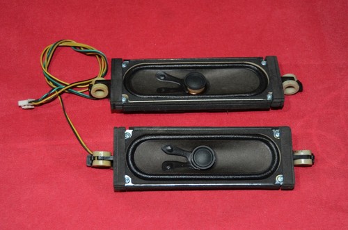 BN96-09463C 8/10W Lautsprecher Paare Für Samsung TV LE46B620R3PXXC.