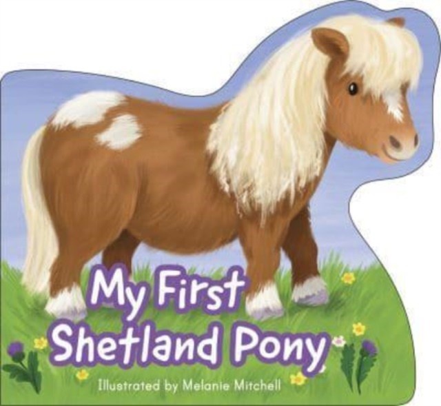 My First Shetland Pony (Wee Kelpies) - Image 5