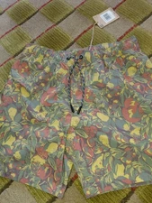 $68 Toad & Co Men’s Boundless Pull On Shorts -Chive Fruit- Large -New With Tag